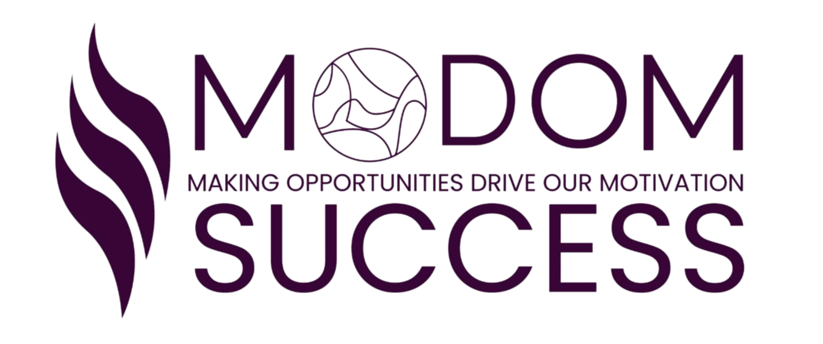 MODOM Success, LLC — Leadership Experience Strategist